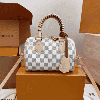 LV Speedy 20 mini bag in classic monogram print with top handles
